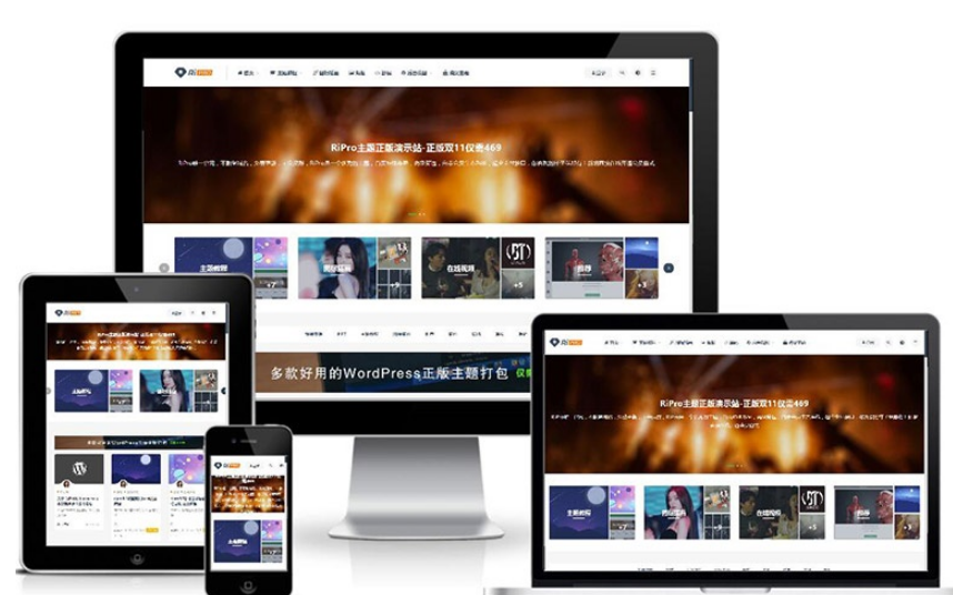 RiPro 日主题 V8.9|8.9 版虚拟资源专属 WordPress 主题